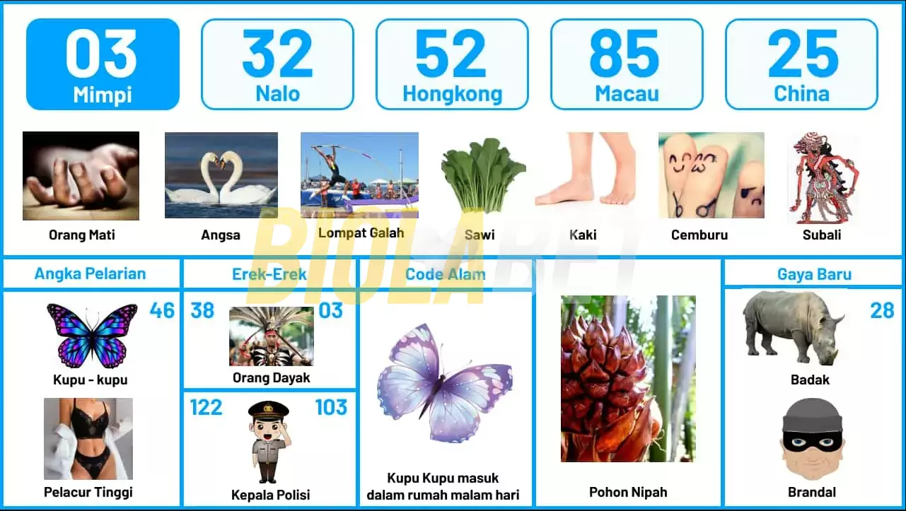 buku mimpi erek erek togel 03