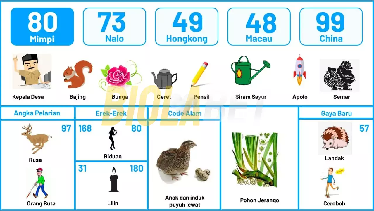 buku mimpi erek erek togel 80